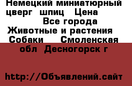 Немецкий миниатюрный(цверг) шпиц › Цена ­ 50 000 - Все города Животные и растения » Собаки   . Смоленская обл.,Десногорск г.